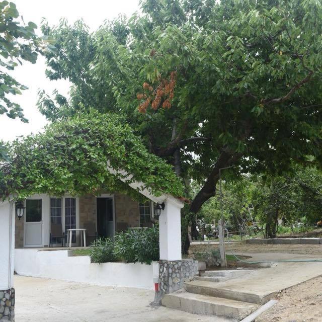Villa Leonidas Koutsoupia Kókkinon Nerón Kültér fotó